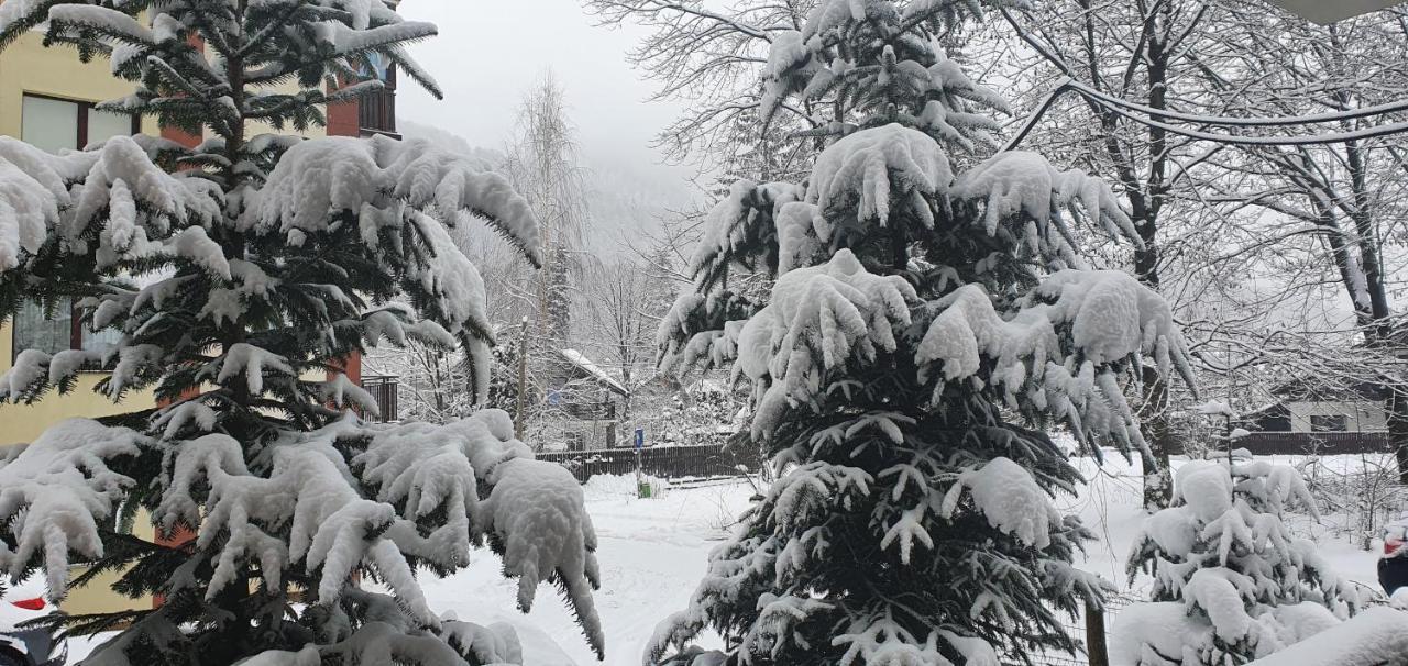 Relax Apartament Sinaia