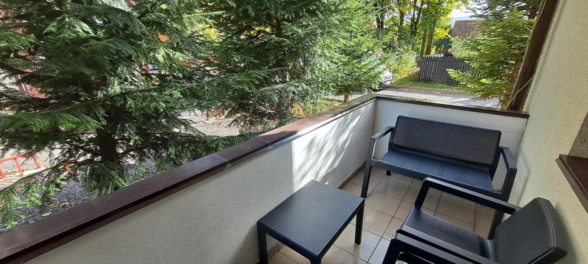 Relax Apartament Sinaia